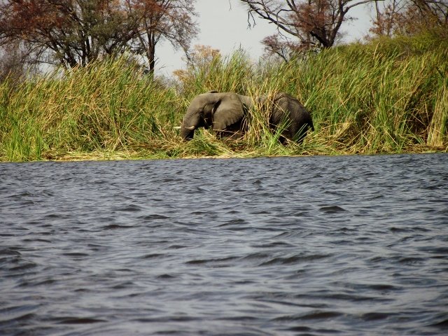 Botswana 060
